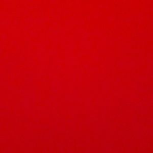 Meet your Posher, Riley